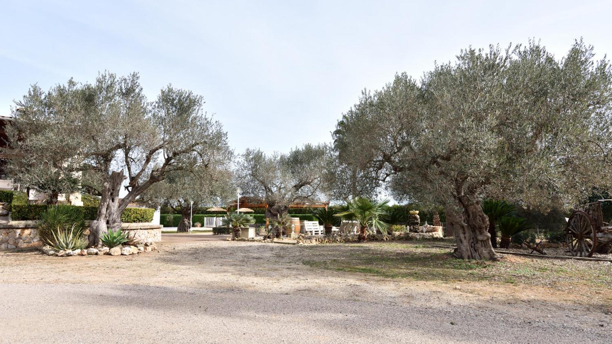 Vila Sa Tanca Gran Sineu  Exteriér fotografie