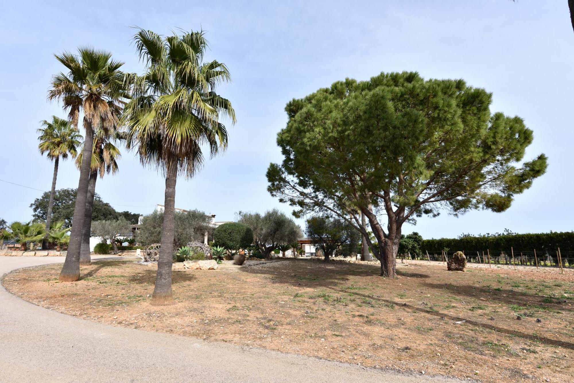 Vila Sa Tanca Gran Sineu  Exteriér fotografie