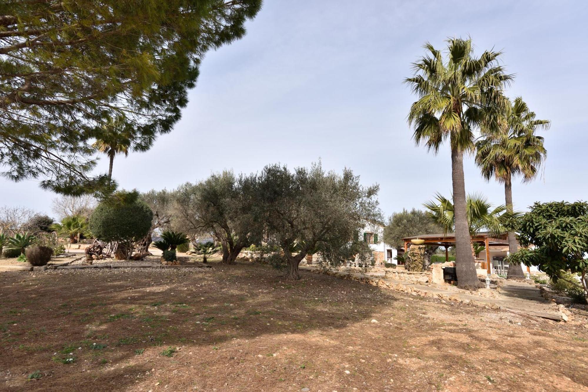 Vila Sa Tanca Gran Sineu  Exteriér fotografie
